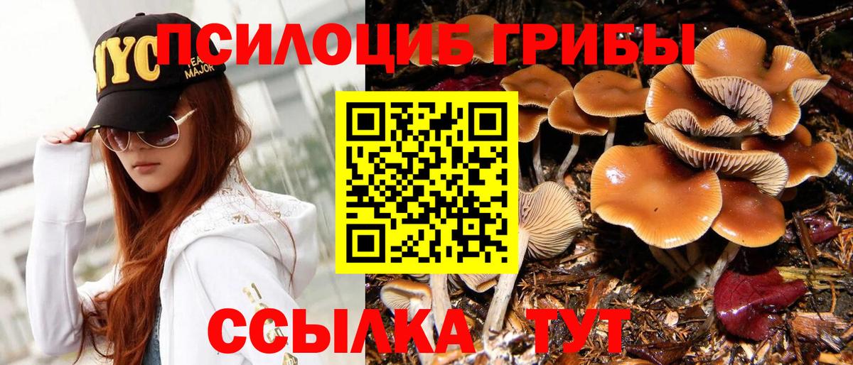 Галлюциногенные грибы Psilocybe  Галлюциногенные грибы мицелий  Чебоксары  Вход с VPN 